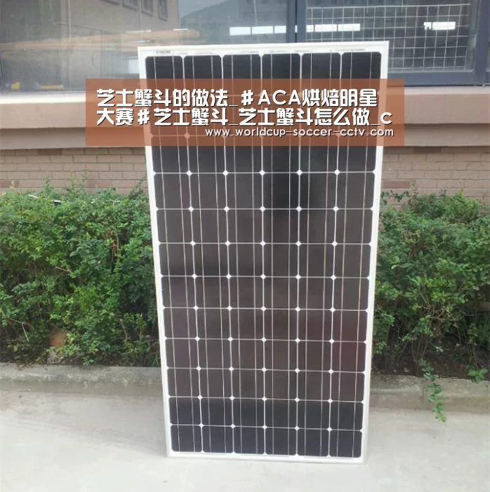 世界杯网站