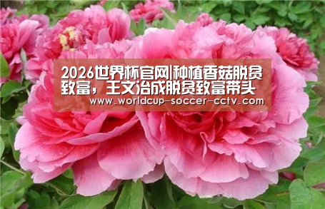 2026世界杯官网|种植香菇脱贫致富，王文治成脱贫致富带头人