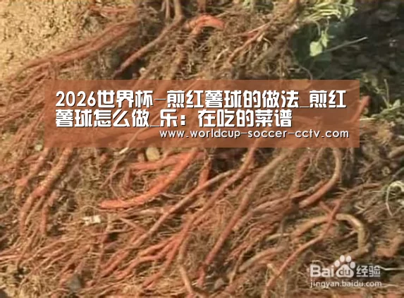 2026世界杯-煎红薯球的做法_煎红薯球怎么做_乐：在吃的菜